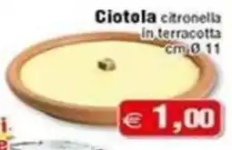 Magazzini Smart Ciotola citronella in terracotta offerta