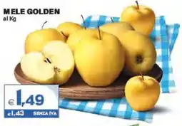 Boningros Cash and Carry Mele Golden offerta
