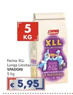 Italy Cash Farina XLL Lunga Lievitazione Spadoni offerta