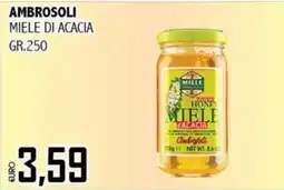 Big Food Ambrosoli miele di acacia offerta