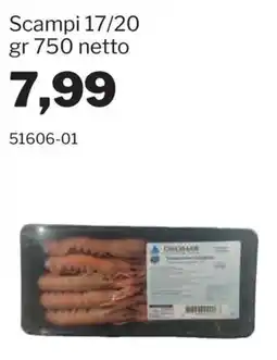 GrosMarket Scampi Dromar offerta