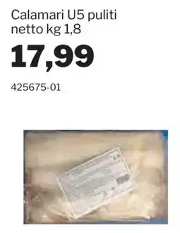 GrosMarket Calamari U5 puliti offerta
