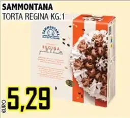 Big Food Sammontana torta regina offerta