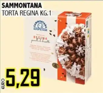 Big Food Sammontana torta regina offerta