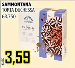 Big Food Sammontana torta duchessa offerta
