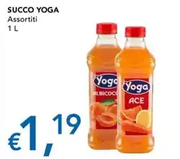 Migross Supermercati e Market Succo Yoga Assortiti offerta