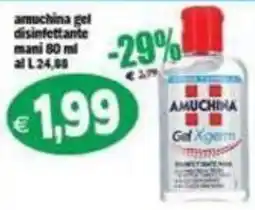 Il Castoro Supermercati Amuchina gel disinfettante mani offerta