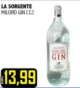 Big Food Milord Gin offerta