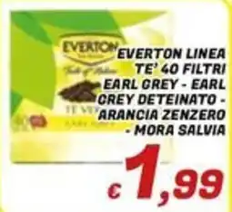 Idromarket Everton linea te' 40 filtri offerta