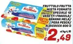 Idromarket Fruttolo frutta mista formato speciale offerta