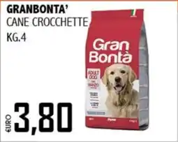 Big Food Gran Bontà cane crocchette offerta