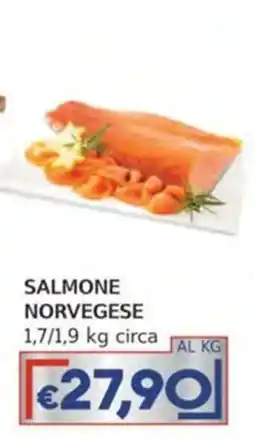 Italy Cash Salmone norvegese offerta
