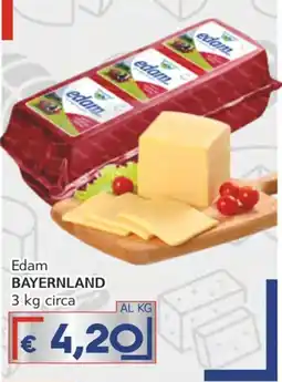 Italy Cash Edam BAYERNLAND offerta