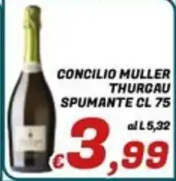 Idromarket Concilio Muller Spumante offerta