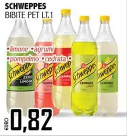 Big Food Schweppes bibite pet offerta