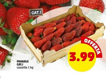 Fragole