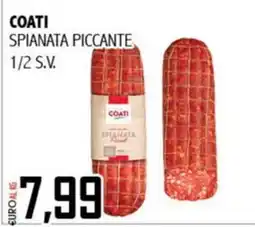 Big Food Coati spianata piccante offerta