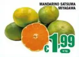 Sacoph Mandarino Satsuma Miyagawa offerta
