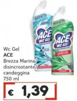 Italy Cash Wc Gel ACE offerta