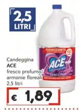 Italy Cash Candeggina ACE offerta