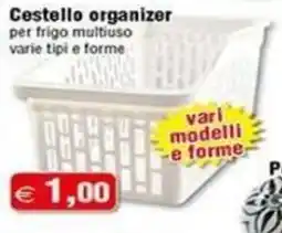 Magazzini Smart Cestello organizer offerta