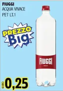 Big Food Fiuggi acqua vivace offerta