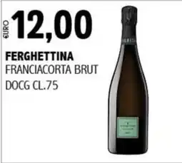 Big Food Ferghettina Franciacorta Brut offerta