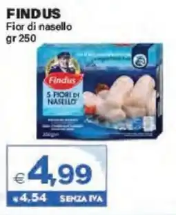 Boningros Cash and Carry Findus Fior di nasello offerta