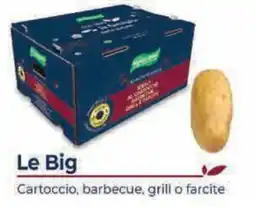 GrosMarket Le Big Cartoccio, barbecue, grill o farcite offerta