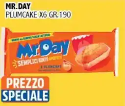 Big Food Mr. Day Plumcake offerta