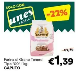 Unes Farina di Grano Tenero Tipo "00" CAPUTO offerta