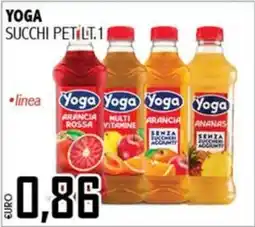 Big Food Yoga succhi pet offerta