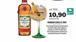 GrosMarket Tanqueray Sevilla & Tonic offerta