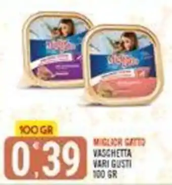 Miglior Gatto Vaschetta