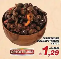 Idromarket Olive nostraline Ortoetruria offerta