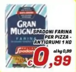 Idromarket Gran Mugnaio farina per pizza - anticrumi offerta