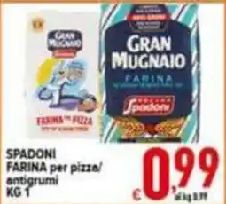 Iper Triscount Spadoni farina per pizza/antigrumi offerta