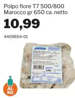 GrosMarket Polpo fiore T7 offerta