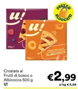 Unes Crostata ai Frutti di bosco o Albicocca U! offerta