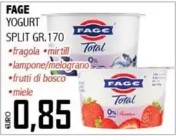 Big Food FAGE YOGURT Total offerta