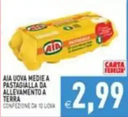 Pim Supermercati Aia uova medie a pastagialla da allevamento a terra offerta