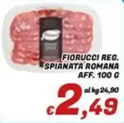 Idromarket Fiorucci Reg. Spianata Romana offerta