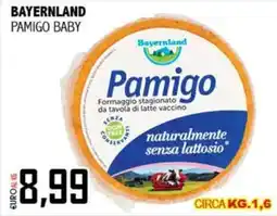 Big Food Pamigo Baby offerta