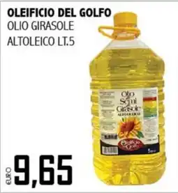 Big Food Olio Semi Girasole Altoleico offerta