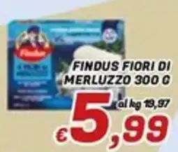 Idromarket Findus fiori di merluzzo offerta