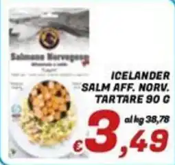 Idromarket Iceland Salm aff. Norv. Tartare offerta