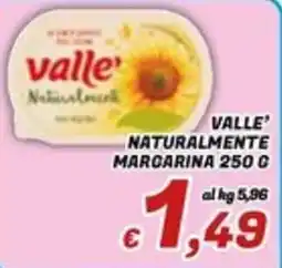 Idromarket Valle' Naturalmente Margarina offerta