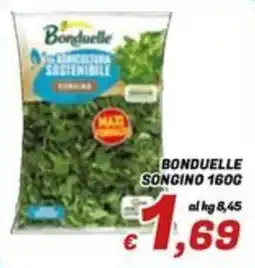 Idromarket Bonduelle Songino offerta
