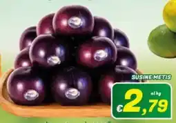 Idromarket Susine Metis offerta