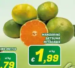 Idromarket Mandarino Satsuma Miyagawa offerta